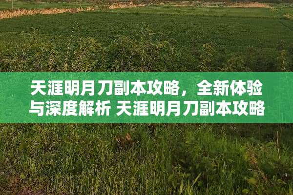 天涯明月刀副本攻略，全新体验与深度解析 天涯明月刀副本攻略