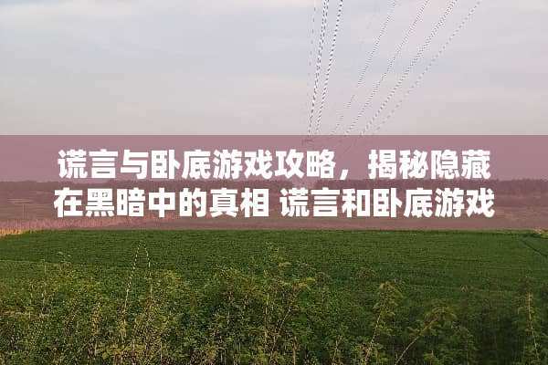 谎言与**游戏攻略，揭秘隐藏在黑暗中的** 谎言和**游戏攻略