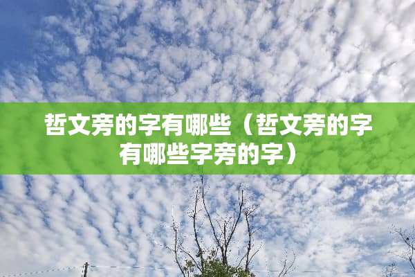 哲文旁的字有哪些（哲文旁的字有哪些字旁的字）