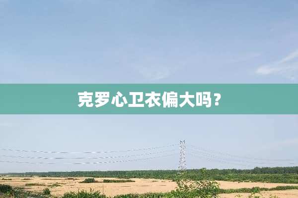 克罗心卫衣偏大吗？