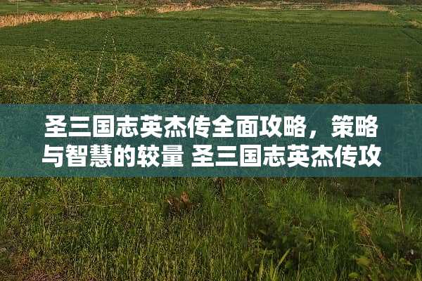 圣三国志英杰传全面攻略，策略与智慧的较量 圣三国志英杰传攻略