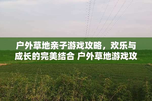 户外草地亲子游戏攻略，欢乐与成长的完美结合 户外草地游戏攻略亲子