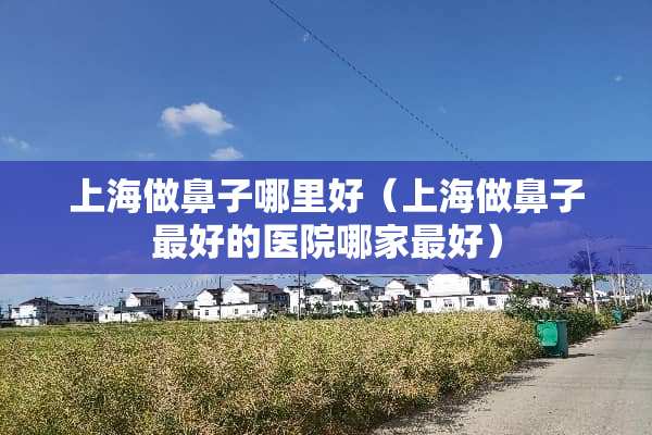 上海做鼻子哪里好（上海做鼻子最好的医院哪家最好）