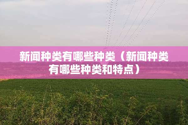 新闻种类有哪些种类（新闻种类有哪些种类和特点）