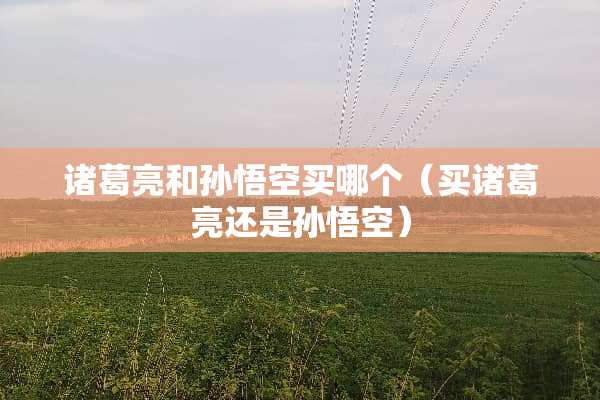 诸葛亮和孙悟空买哪个（买诸葛亮还是孙悟空）