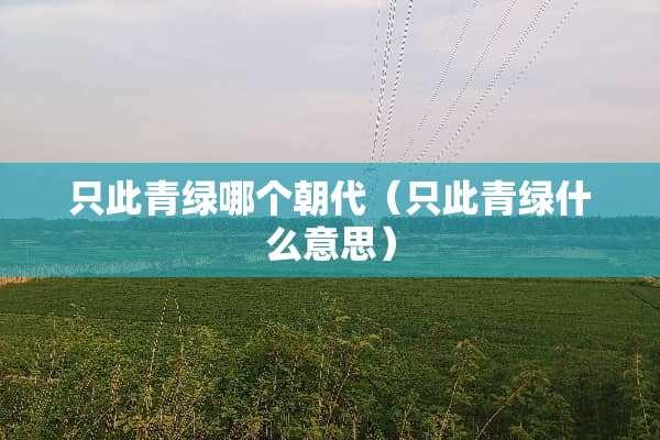 只此青绿哪个朝代（只此青绿什么意思）