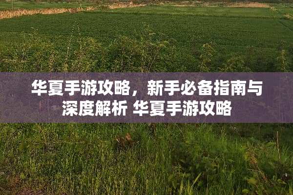 华夏手游攻略，新手必备指南与深度解析 华夏手游攻略