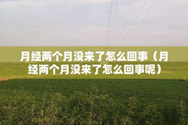 月经两个月没来了怎么回事（月经两个月没来了怎么回事呢）