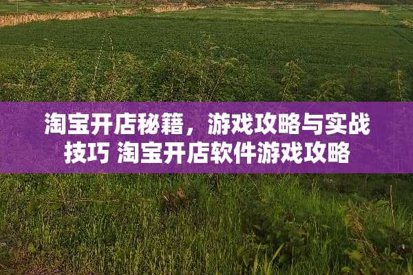 淘宝开店秘籍，游戏攻略与实战技巧 淘宝开店软件游戏攻略