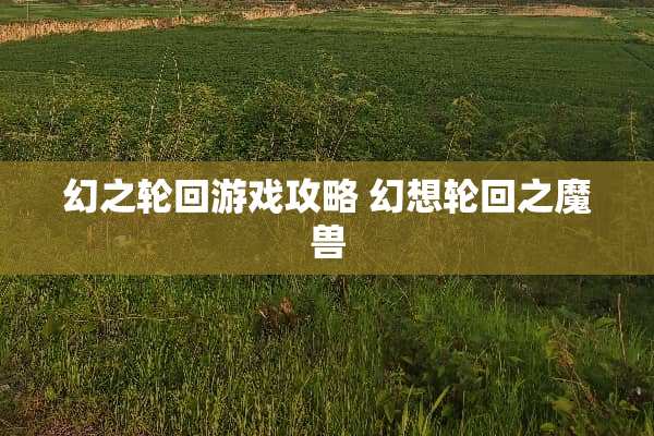 幻之轮回游戏攻略 幻想轮回之魔兽