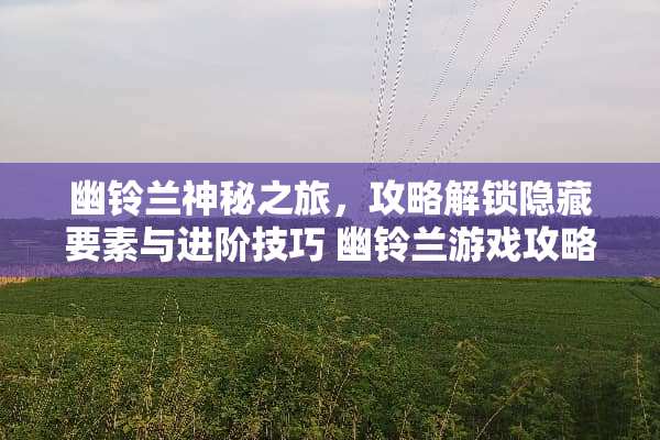 幽铃兰神秘之旅，攻略解锁隐藏要素与进阶技巧 幽铃兰游戏攻略