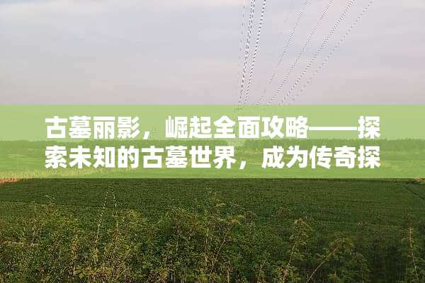 古墓丽影，崛起全面攻略——探索未知的古墓世界，成为传奇探险家 古墓丽影崛起攻略