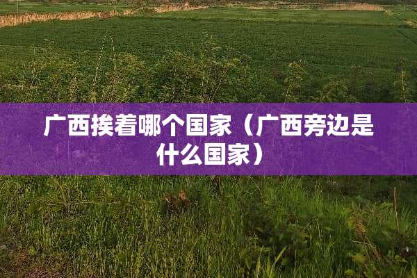 广西挨着哪个国家（广西旁边是什么国家）