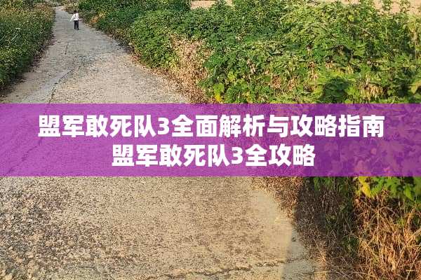 盟军敢死队3全面解析与攻略指南 盟军敢死队3全攻略