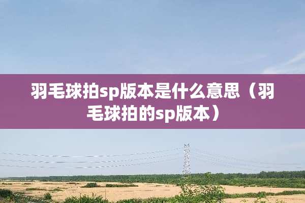羽毛球拍sp版本是什么意思（羽毛球拍的sp版本）