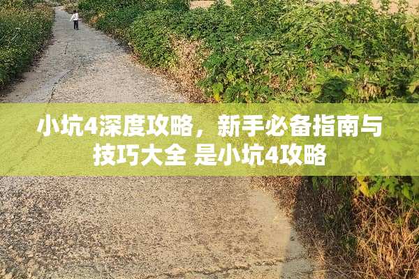 小坑4深度攻略，新手必备指南与技巧大全 是小坑4攻略