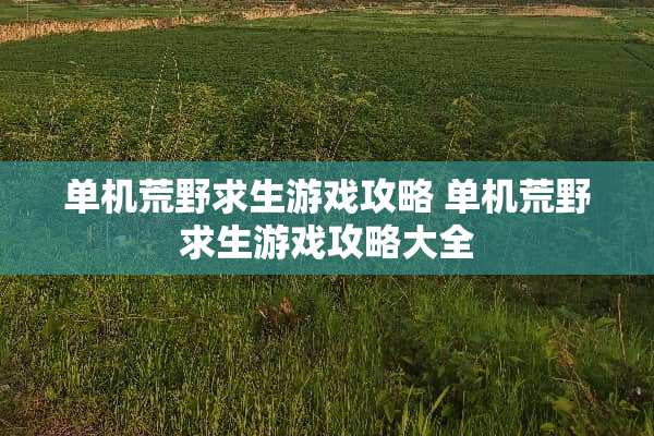 单机荒野求生游戏攻略 单机荒野求生游戏攻略大全