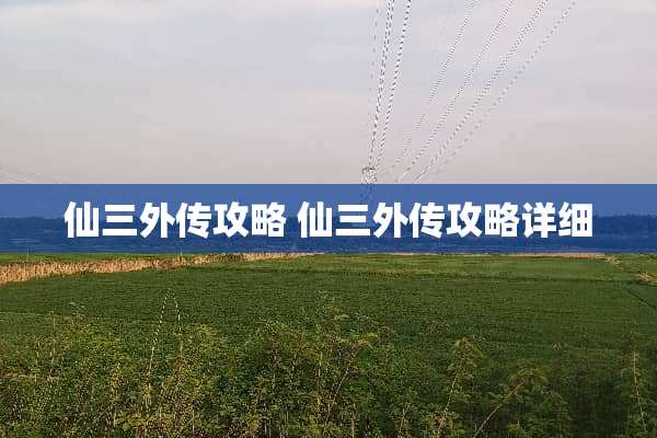 仙三外传攻略 仙三外传攻略详细