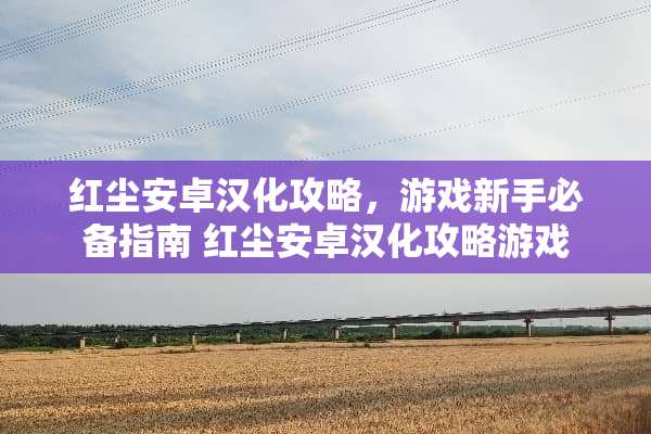 红尘安卓汉化攻略，游戏新手必备指南 红尘安卓汉化攻略游戏