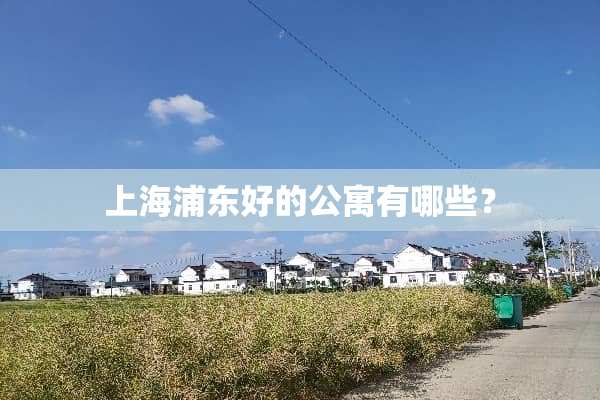 上海浦东好的公寓有哪些？