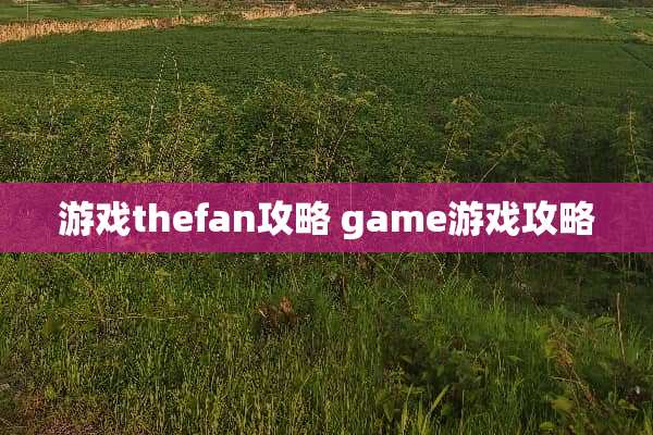 游戏thefan攻略 game游戏攻略