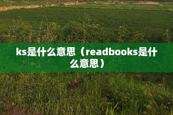 ks是什么意思（readbooks是什么意思）