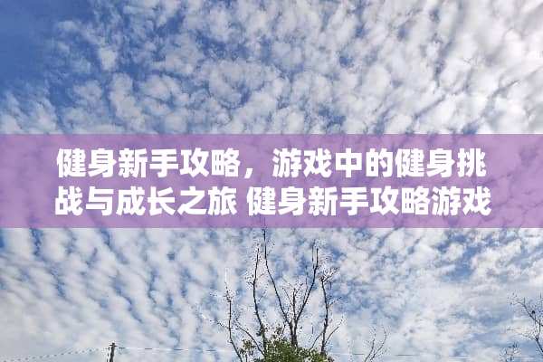 健身新手攻略，游戏中的健身挑战与成长之旅 健身新手攻略游戏