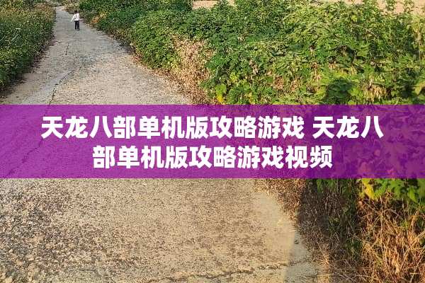 天龙八部单机版攻略游戏 天龙八部单机版攻略游戏视频