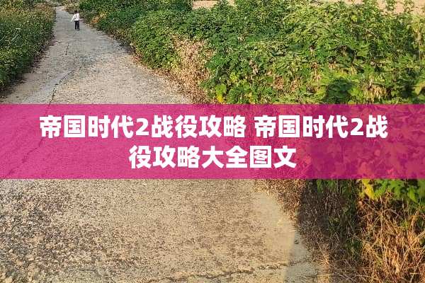 帝国时代2战役攻略 帝国时代2战役攻略大全图文