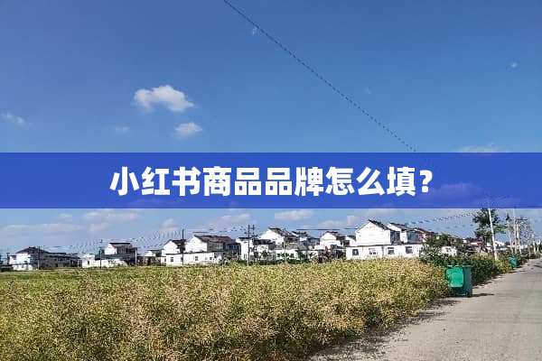 小红书商品品牌怎么填？