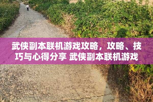 武侠副本联机游戏攻略，攻略、技巧与心得分享 武侠副本联机游戏攻略
