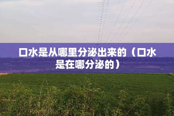 口水是从哪里分泌出来的（口水是在哪分泌的）