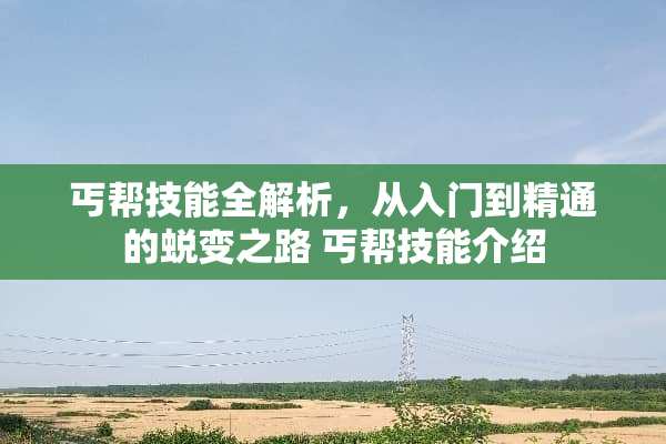 丐帮技能全解析，从入门到精通的蜕变之路 丐帮技能介绍