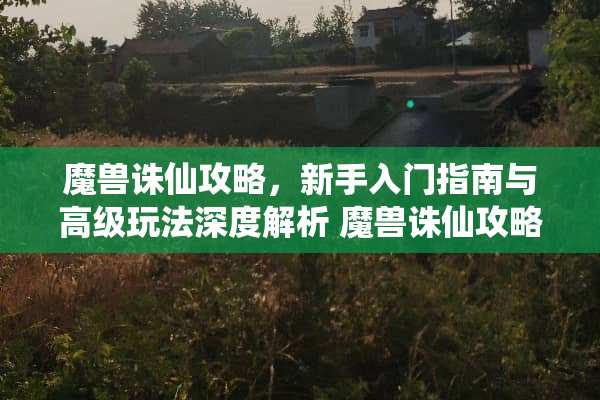 魔兽诛仙攻略，新手入门指南与高级玩法深度解析 魔兽诛仙攻略