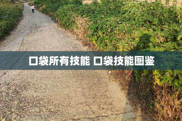 口袋所有技能 口袋技能图鉴