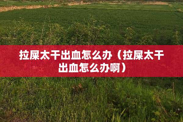 拉屎太干出血怎么办（拉屎太干出血怎么办啊）