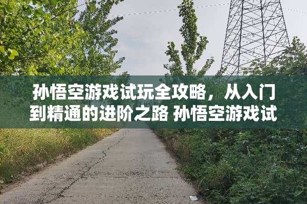 孙悟空游戏试玩全攻略，从入门到精通的进阶之路 孙悟空游戏试玩攻略