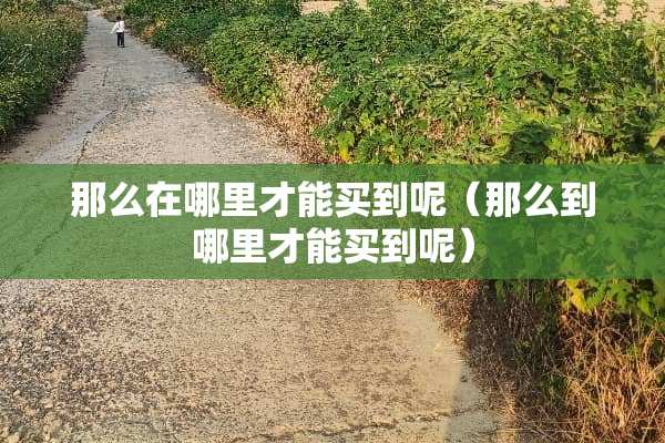 那么在哪里才能买到呢（那么到哪里才能买到呢）