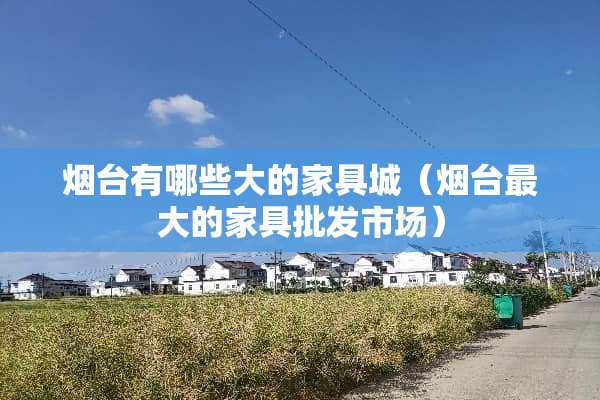 烟台有哪些大的家具城（烟台最大的家具批发市场）