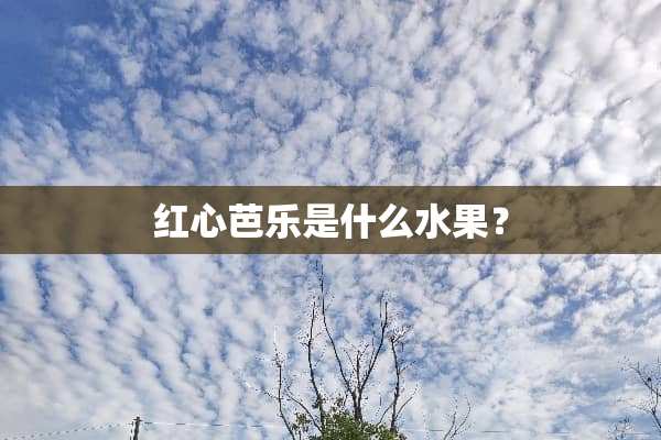 红心芭乐是什么水果？