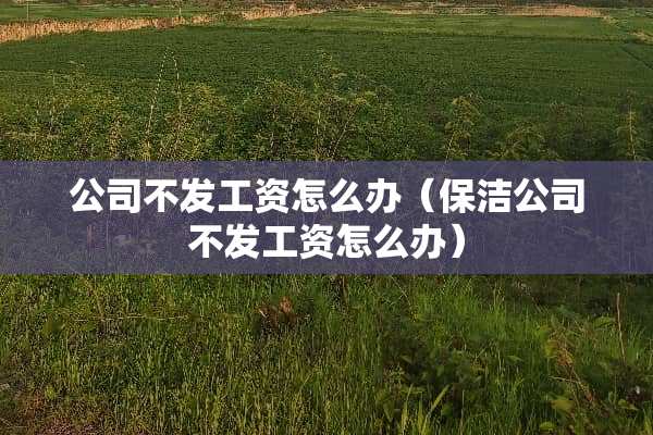 公司不发工资怎么办（保洁公司不发工资怎么办）