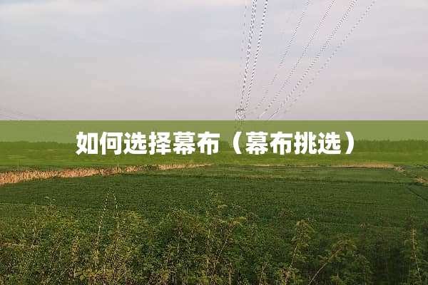 如何选择幕布（幕布挑选）