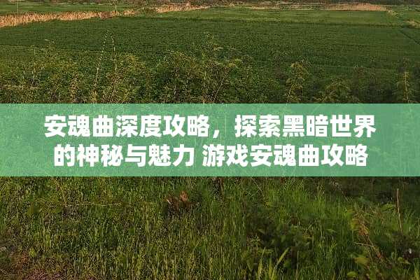 安魂曲深度攻略，探索黑暗世界的神秘与魅力 游戏安魂曲攻略
