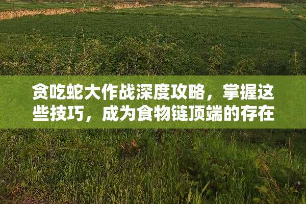 贪吃蛇大作战深度攻略，掌握这些技巧，成为食物链顶端的存在！ 贪吃蛇竞争游戏攻略