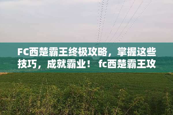 FC西楚**终极攻略，掌握这些技巧，成就霸业！ fc西楚**攻略