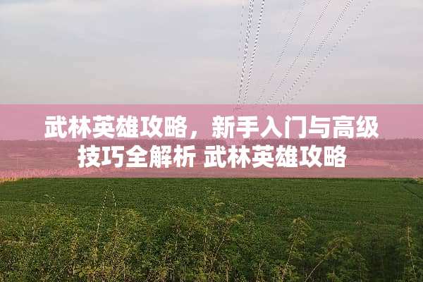 武林英雄攻略，新手入门与高级技巧全解析 武林英雄攻略