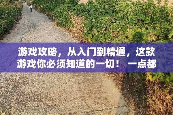 游戏攻略，从入门到精通，这款游戏你必须知道的一切！ 一点都不可口游戏攻略
