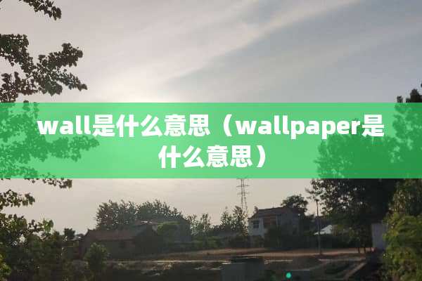 wall是什么意思（wallpaper是什么意思）
