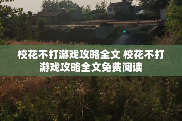 校花不打游戏攻略全文 校花不打游戏攻略全文免费阅读