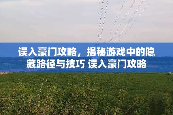 误入豪门攻略，揭秘游戏中的隐藏路径与技巧 误入豪门攻略